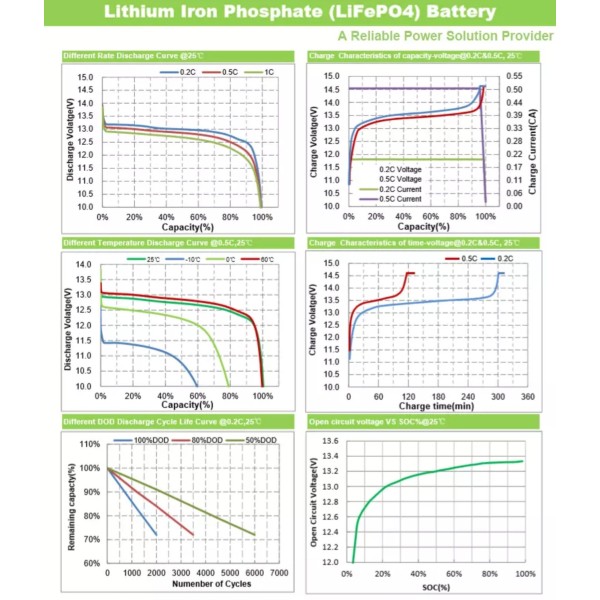 Eurteck Batteria al Litio LiFePO4 12.8V 100Ah 1280Wh BMS Smart