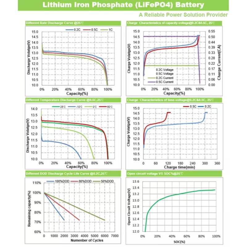 Eurteck LiFePO4 12.8V 100Ah Lithium Battery with Smart BMS