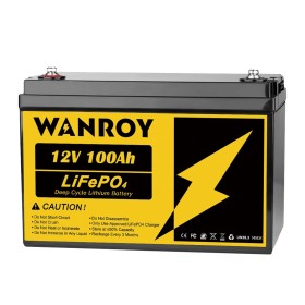 Ecowatt Batteria al Litio LiFePO4 12.8V 100Ah BMS Smart integrato