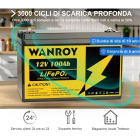WANROY 12V 100Ah LiFePO4 Battery With 100A BMS 12.8V 1280Wh