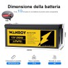 WANROY 12V 200Ah LiFePO4 Battery With 100A BMS 12.8V 2560Wh