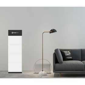 Pylontech FORCE-L2 FC0048M-100 Sistema di Gestione Batteria
