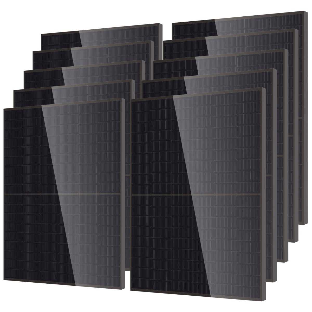 DM455M10RT-B54HBB-L 36pz Modulo Fotovoltaico Bifacciale DMEGC N-Type 1
